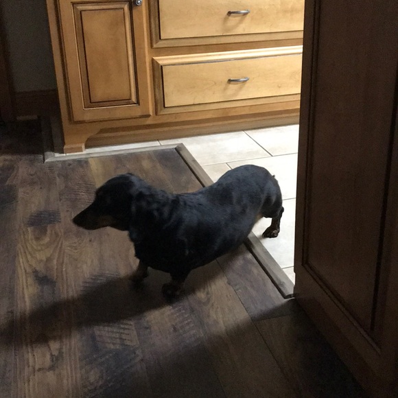 Meet your Posher, Randy - Picture 1 of 1